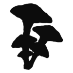 Great Lakes Fungi contact icon